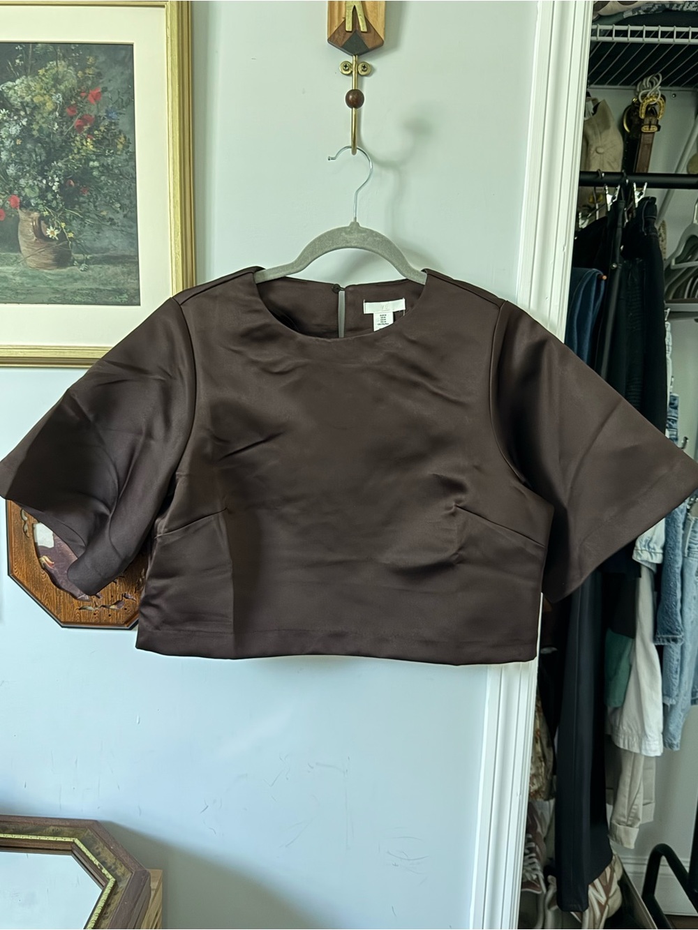 H&M Cropped Short Sleeve Satin Top in Deep Brown NWT